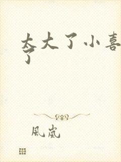 太大了小喜涨死了