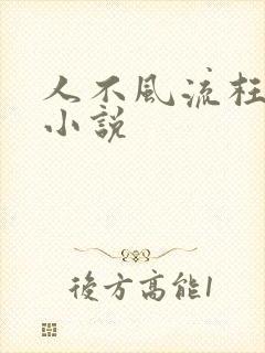 人不风流枉少年小说