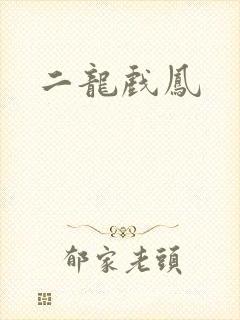 二龙戏凤