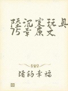 陆沉塞玩具高速75章原文