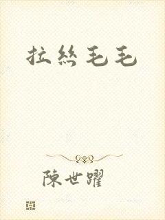 拉丝毛毛