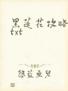黑莲花攻略手册txt