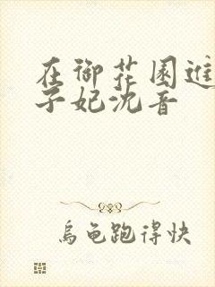 在御花园进入太子妃沈音