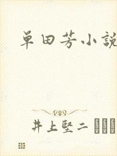 单田芳小说