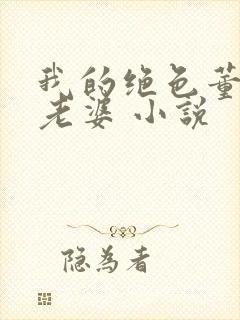 我的绝色董事长老婆 小说