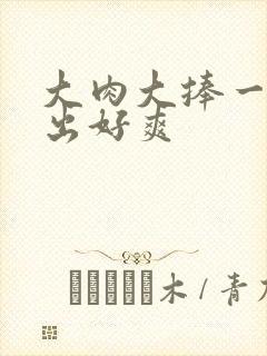 大肉大捧一进一出好爽