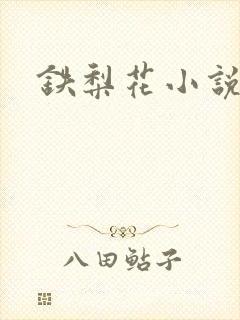 铁梨花小说