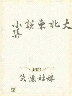 小说东北大炕全集