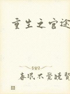 重生之官途辉煌