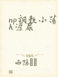 np调教小荡货h灌尿