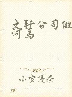 文轩公司做扩张河马