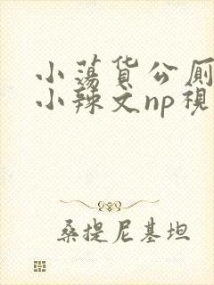 小荡货公厕h文小辣文np视频