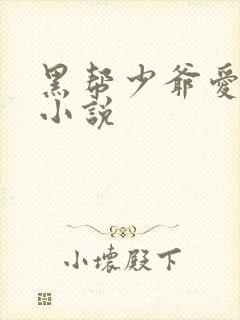 黑帮少爷爱上我小说