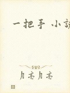 一把手 小说