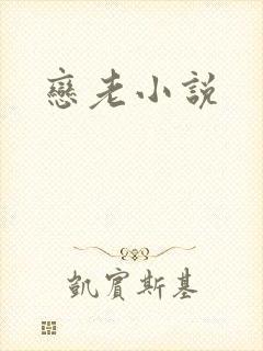恋老小说