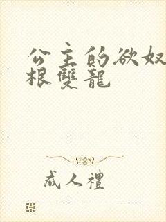 公主的欲奴h四根双龙