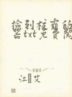 捡到校霸的遥控器txt免费阅读