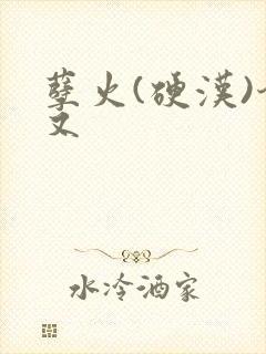 孽火(硬汉)今又