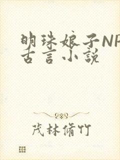 明珠娘子NPC古言小说