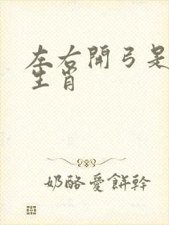 左右开弓是什么生肖