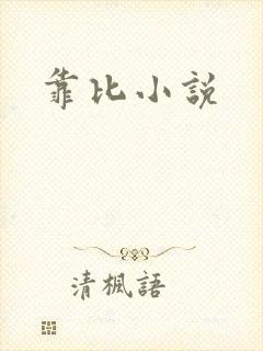 靠比小说