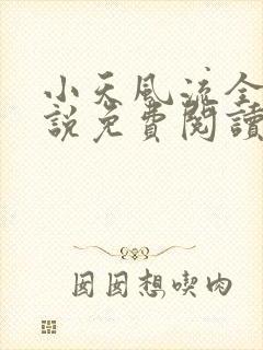 小天风流全集小说免费阅读