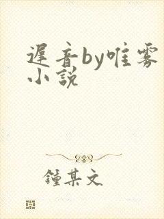 迟音by唯雾的小说