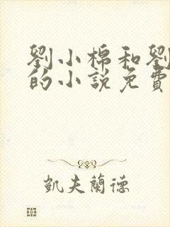 刘小棉和刘易文的小说免费阅读