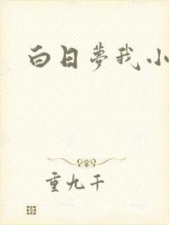 白日梦我小说