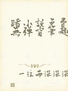 赌小说免费阅读无弹窗笔趣阁