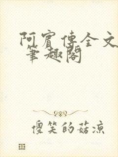 阿宾传全文阅读 笔趣阁