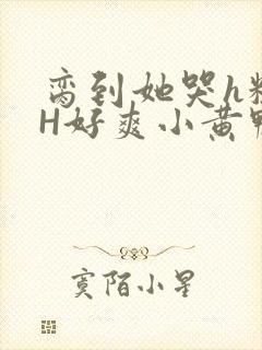 脔到她哭h粗话H好爽小黄鸭视频