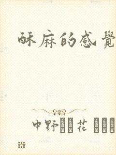 酥麻的感觉小说