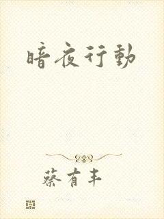 暗夜行动