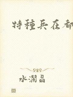 特种兵在都市