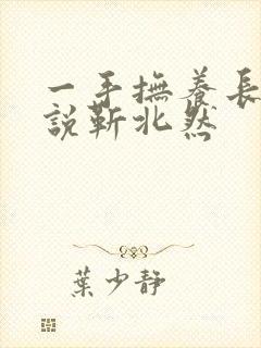 一手抚养长大小说靳北然