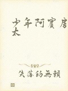 少年阿宾房东太太