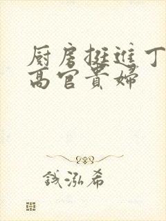 厨房挺进丁字裤高官贵妇