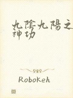 九阴九阳之阴阳神功