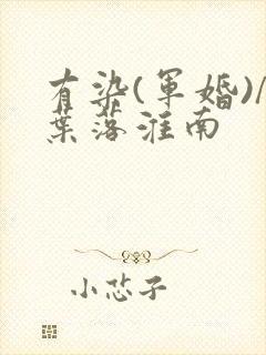 有染(军婚)/叶落淮南