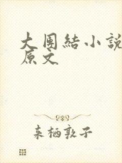 大团结小说阅读原文