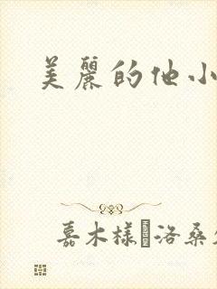 美丽的他小说
