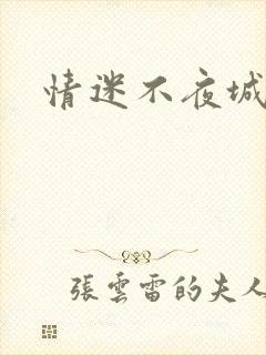 情迷不夜城