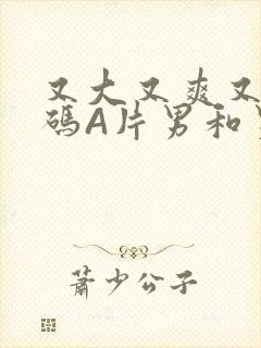 又大又爽又黄无码A片男和男