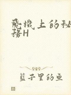 飞机上的秘密服务H