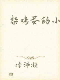 柴鸡蛋的小说