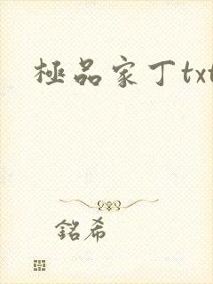 极品家丁txt