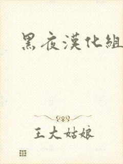 黑夜汉化组