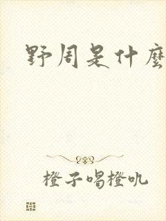 野周是什么意思