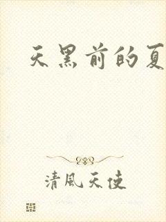 天黑前的夏天